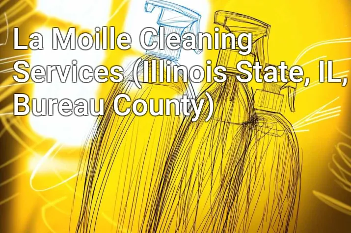 La Moille Cleaning Services (Illinois State, IL, Bureau County)