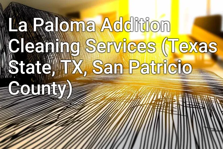 La Paloma Addition Cleaning Services (Texas State, TX, San Patricio County)