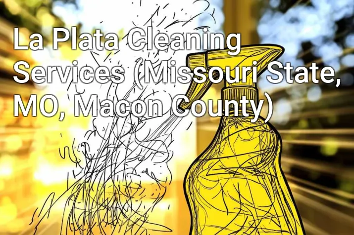 La Plata Cleaning Services (Missouri State, MO, Macon County)