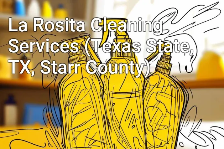 La Rosita Cleaning Services (Texas State, TX, Starr County)
