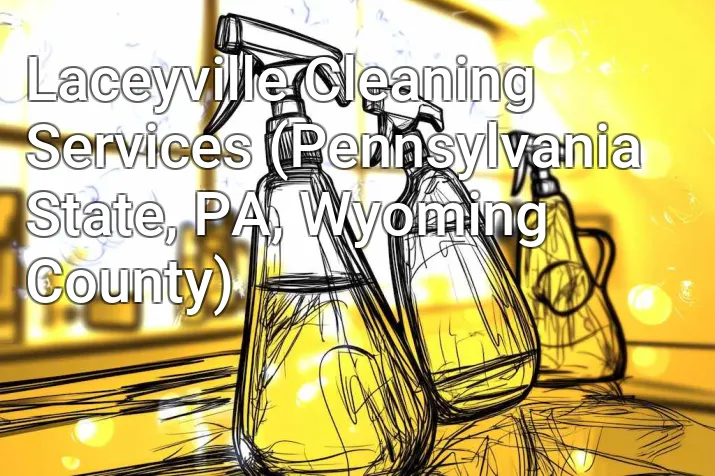 Laceyville Cleaning Services (Pennsylvania State, PA, Wyoming County)