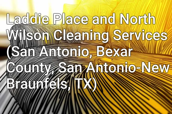 Laddie Place and North Wilson Cleaning Services (San Antonio, Bexar County, San Antonio-New Braunfels, TX)