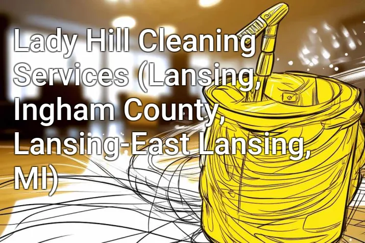 Lady Hill Cleaning Services (Lansing, Ingham County, Lansing-East Lansing, MI)