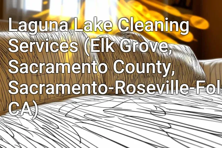 Laguna Lake Cleaning Services (Elk Grove, Sacramento County, Sacramento-Roseville-Folsom, CA)