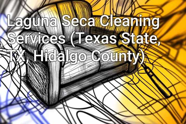 Laguna Seca Cleaning Services (Texas State, TX, Hidalgo County)