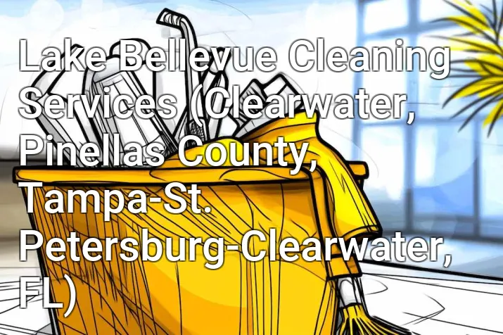 Lake Bellevue Cleaning Services (Clearwater, Pinellas County, Tampa-St. Petersburg-Clearwater, FL)