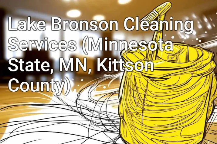 Lake Bronson Cleaning Services (Minnesota State, MN, Kittson County)