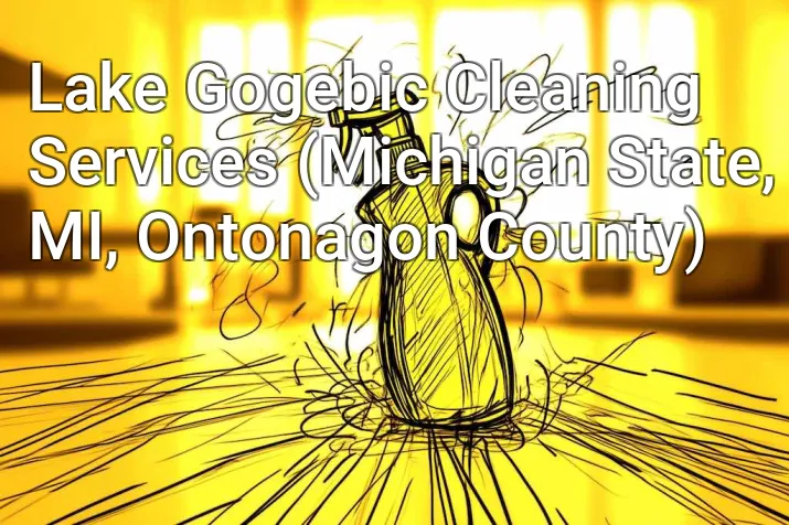 Lake Gogebic Cleaning Services (Michigan State, MI, Ontonagon County)
