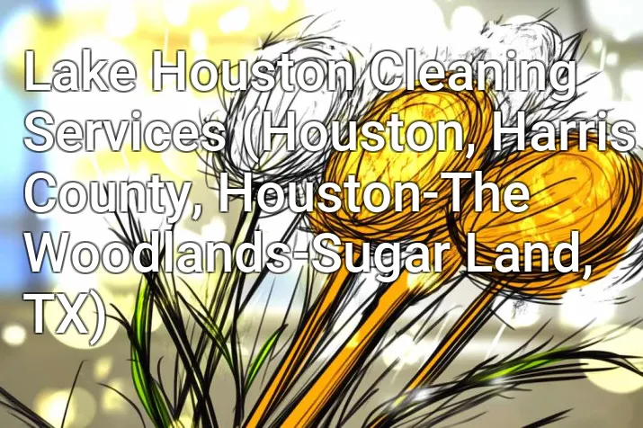 Lake Houston Cleaning Services (Houston, Harris County, Houston-The Woodlands-Sugar Land, TX)