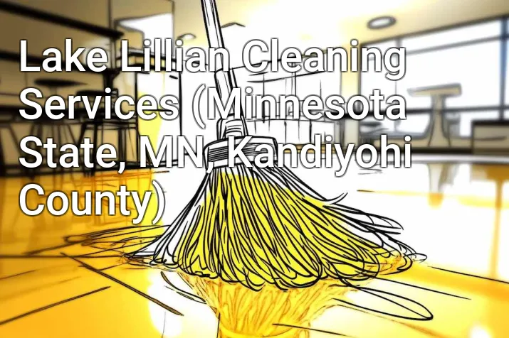 Lake Lillian Cleaning Services (Minnesota State, MN, Kandiyohi County)