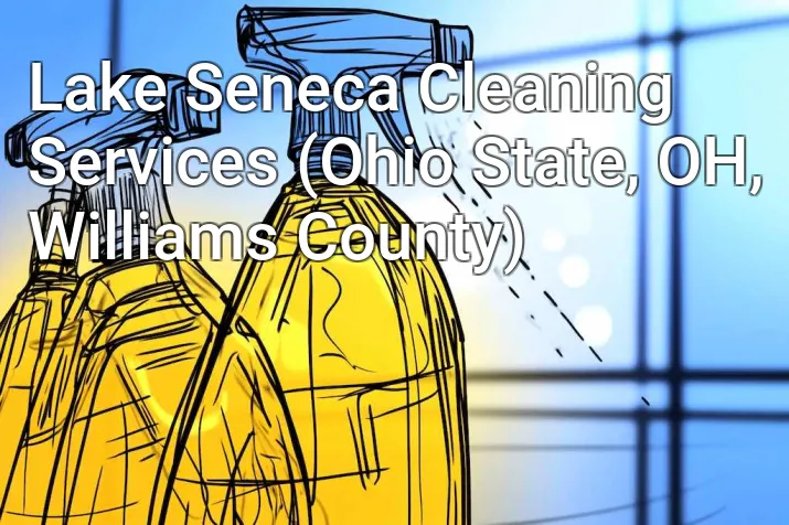 Lake Seneca Cleaning Services (Ohio State, OH, Williams County)