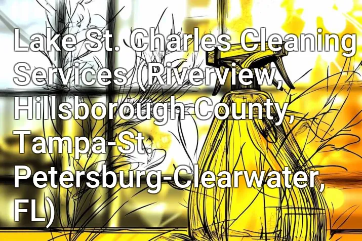 Lake St. Charles Cleaning Services (Riverview, Hillsborough County, Tampa-St. Petersburg-Clearwater, FL)