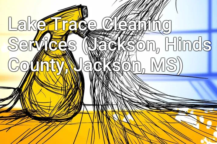 Lake Trace Cleaning Services (Jackson, Hinds County, Jackson, MS)