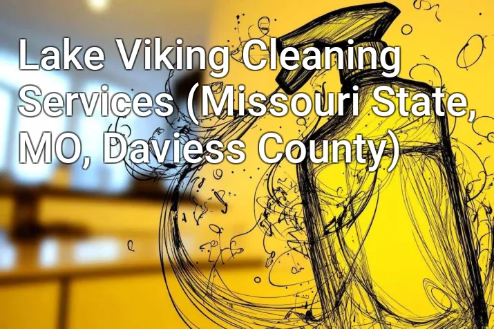 Lake Viking Cleaning Services (Missouri State, MO, Daviess County)