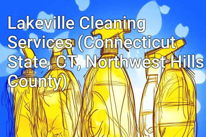 Lakeville Cleaning Services (Connecticut State, CT, Northwest Hills County)