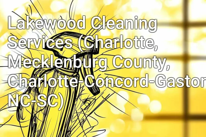 Lakewood Cleaning Services (Charlotte, Mecklenburg County, Charlotte-Concord-Gastonia, NC-SC)