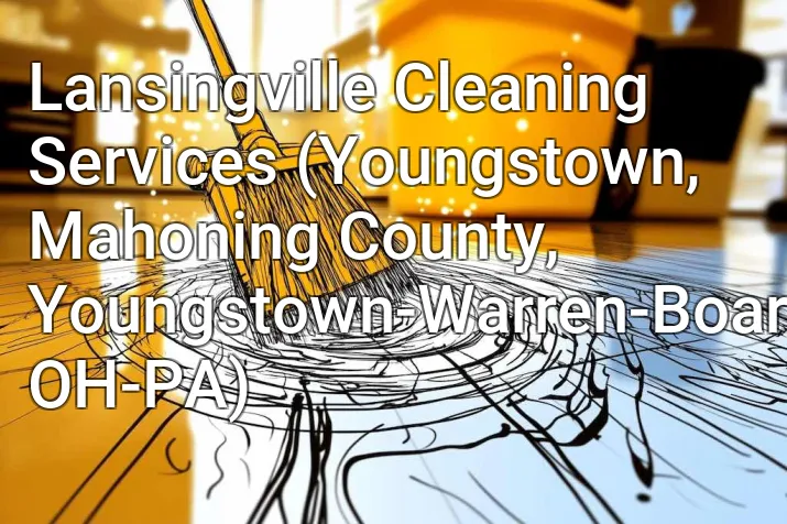 Lansingville Cleaning Services (Youngstown, Mahoning County, Youngstown-Warren-Boardman, OH-PA)
