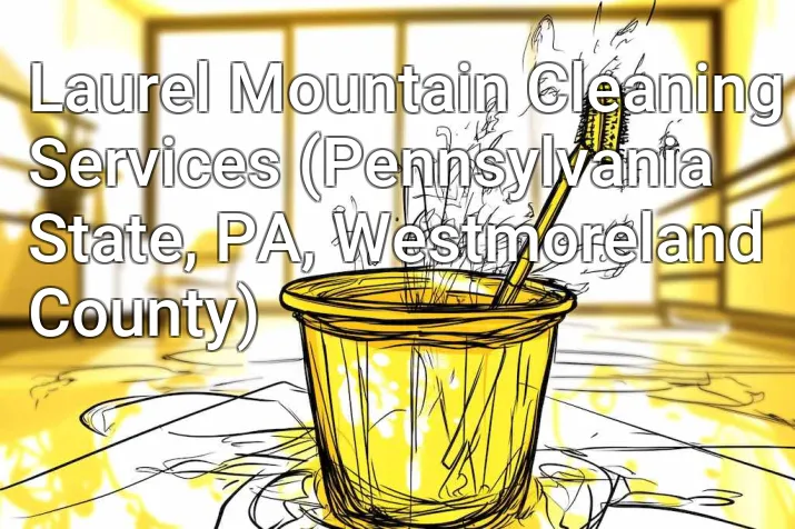 Laurel Mountain Cleaning Services (Pennsylvania State, PA, Westmoreland County)