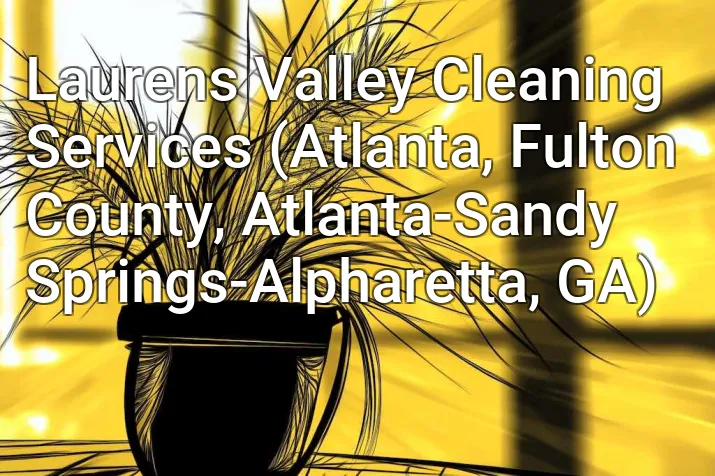 Laurens Valley Cleaning Services (Atlanta, Fulton County, Atlanta-Sandy Springs-Alpharetta, GA)