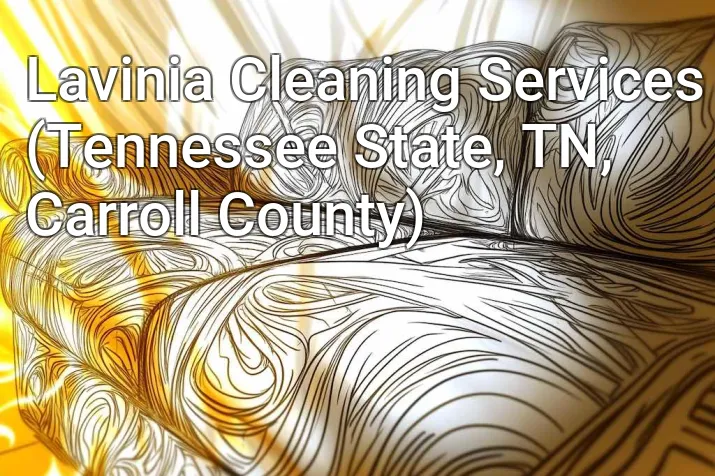 Lavinia Cleaning Services (Tennessee State, TN, Carroll County)