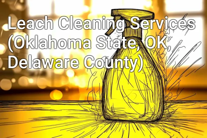 Leach Cleaning Services (Oklahoma State, OK, Delaware County)