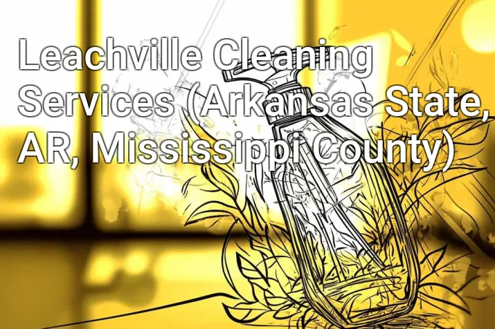 Leachville Cleaning Services (Arkansas State, AR, Mississippi County)