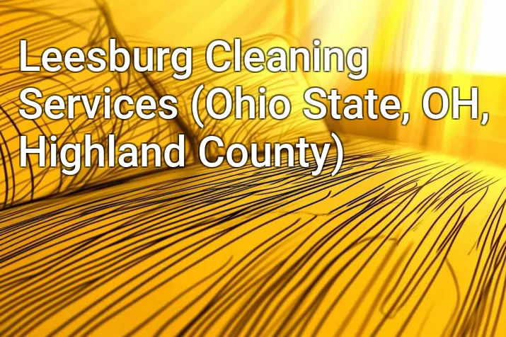 Leesburg Cleaning Services (Ohio State, OH, Highland County)