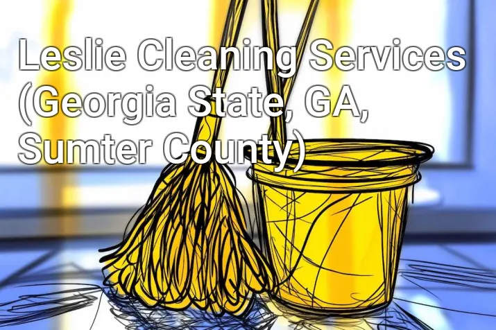 Leslie Cleaning Services (Georgia State, GA, Sumter County)