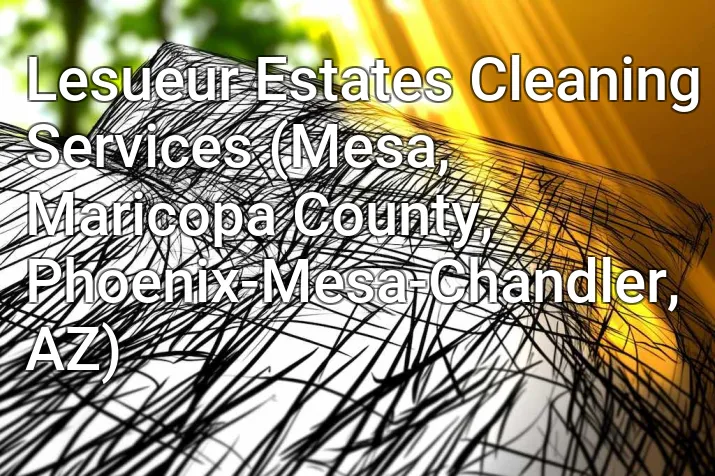 Lesueur Estates Cleaning Services (Mesa, Maricopa County, Phoenix-Mesa-Chandler, AZ)