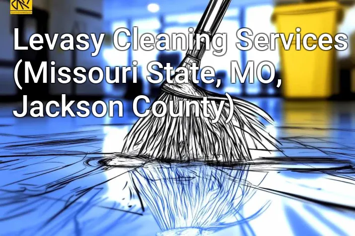 Levasy Cleaning Services (Missouri State, MO, Jackson County)