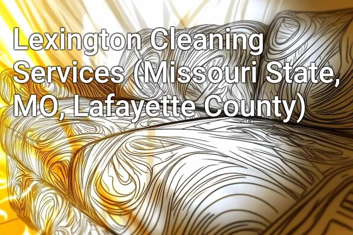 Lexington Cleaning Services (Missouri State, MO, Lafayette County)
