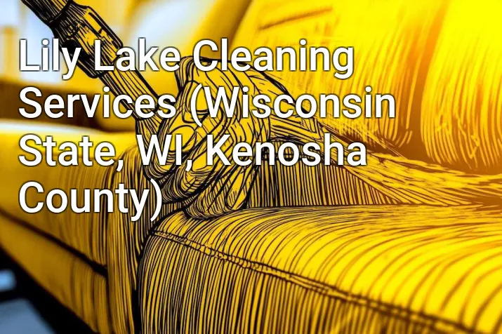 Lily Lake Cleaning Services (Wisconsin State, WI, Kenosha County)