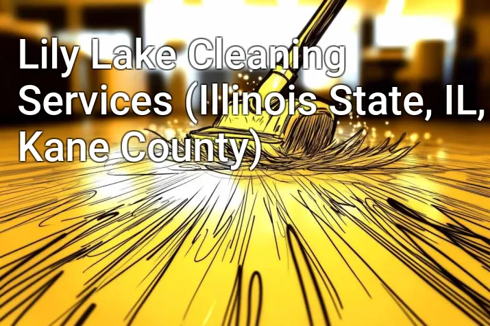 Lily Lake Cleaning Services (Illinois State, IL, Kane County)