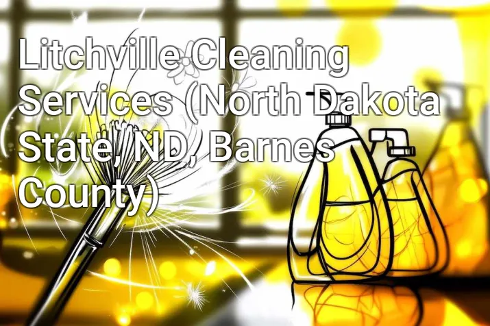Litchville Cleaning Services (North Dakota State, ND, Barnes County)