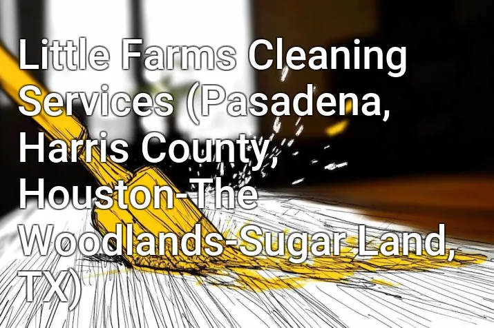 Little Farms Cleaning Services (Pasadena, Harris County, Houston-The Woodlands-Sugar Land, TX)