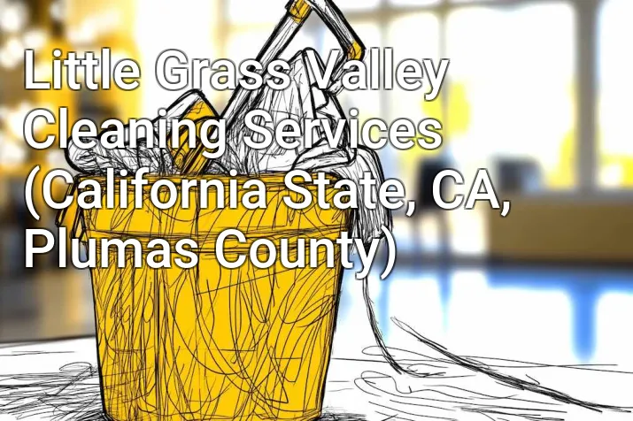 Little Grass Valley Cleaning Services (California State, CA, Plumas County)