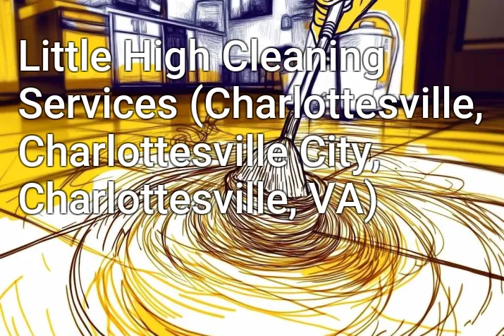 Little High Cleaning Services (Charlottesville, Charlottesville City, Charlottesville, VA)