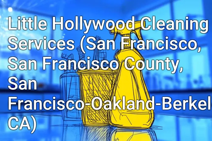 Little Hollywood Cleaning Services (San Francisco, San Francisco County, San Francisco-Oakland-Berkeley, CA)