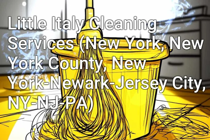 Little Italy Cleaning Services (New York, New York County, New York-Newark-Jersey City, NY-NJ-PA)