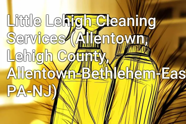 Little Lehigh Cleaning Services (Allentown, Lehigh County, Allentown-Bethlehem-Easton, PA-NJ)