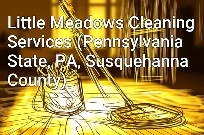 Little Meadows Cleaning Services (Pennsylvania State, PA, Susquehanna County)