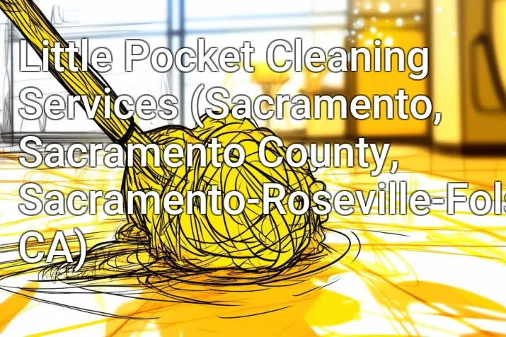 Little Pocket Cleaning Services (Sacramento, Sacramento County, Sacramento-Roseville-Folsom, CA)