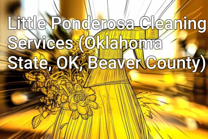 Little Ponderosa Cleaning Services (Oklahoma State, OK, Beaver County)