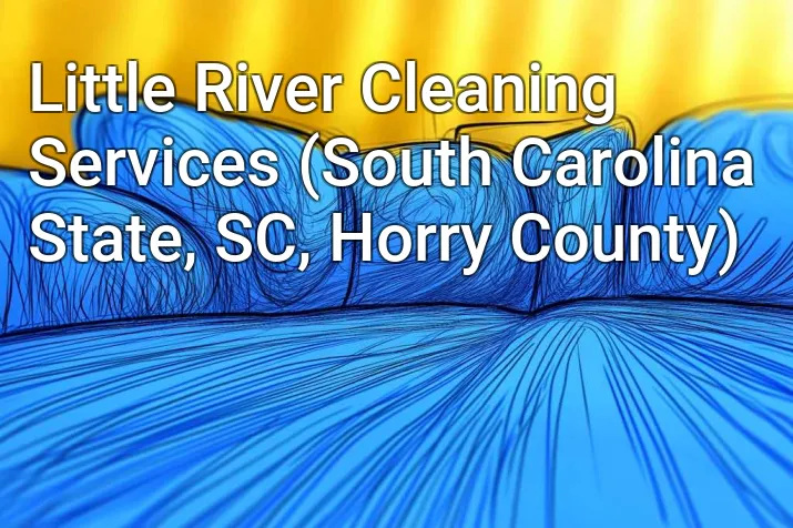 Little River Cleaning Services (South Carolina State, SC, Horry County)