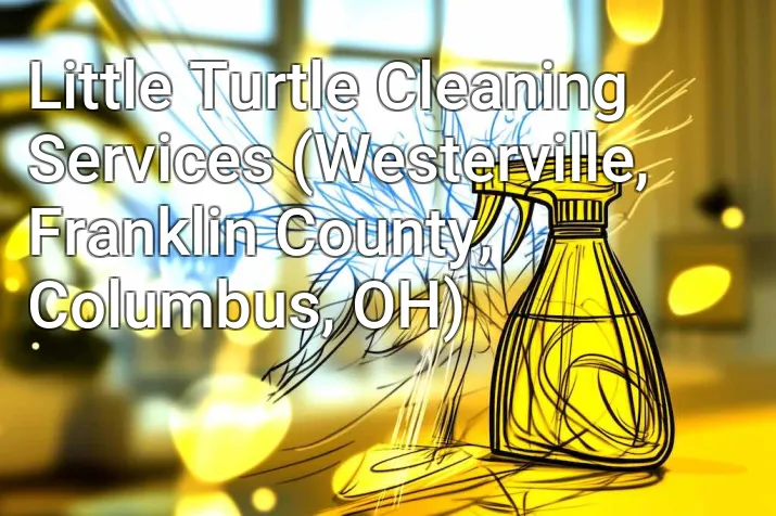 Little Turtle Cleaning Services (Westerville, Franklin County, Columbus, OH)