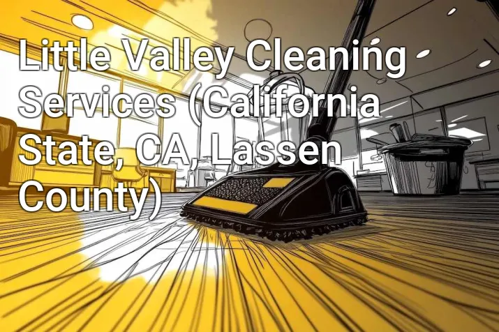 Little Valley Cleaning Services (California State, CA, Lassen County)