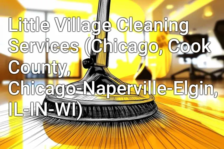 Little Village Cleaning Services (Chicago, Cook County, Chicago-Naperville-Elgin, IL-IN-WI)