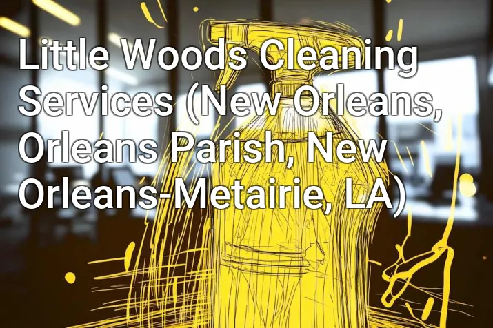 Little Woods Cleaning Services (New Orleans, Orleans Parish, New Orleans-Metairie, LA)