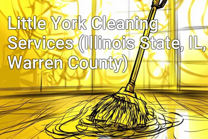 Little York Cleaning Services (Illinois State, IL, Warren County)