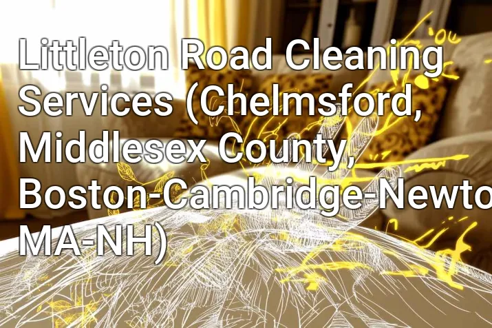 Littleton Road Cleaning Services (Chelmsford, Middlesex County, Boston-Cambridge-Newton, MA-NH)